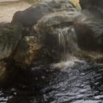 つるぎ恋月ブラック